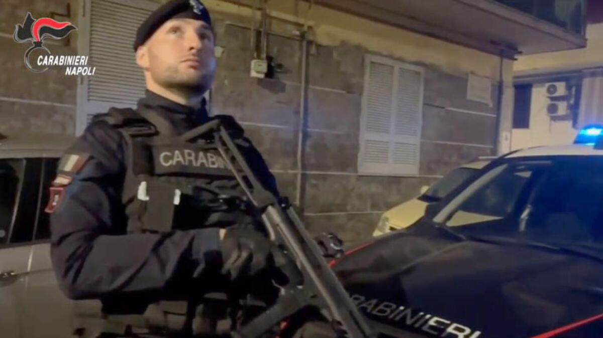 Camorra a Nola, il clan estorceva consulenze per il figlio del boss ingegnere - 