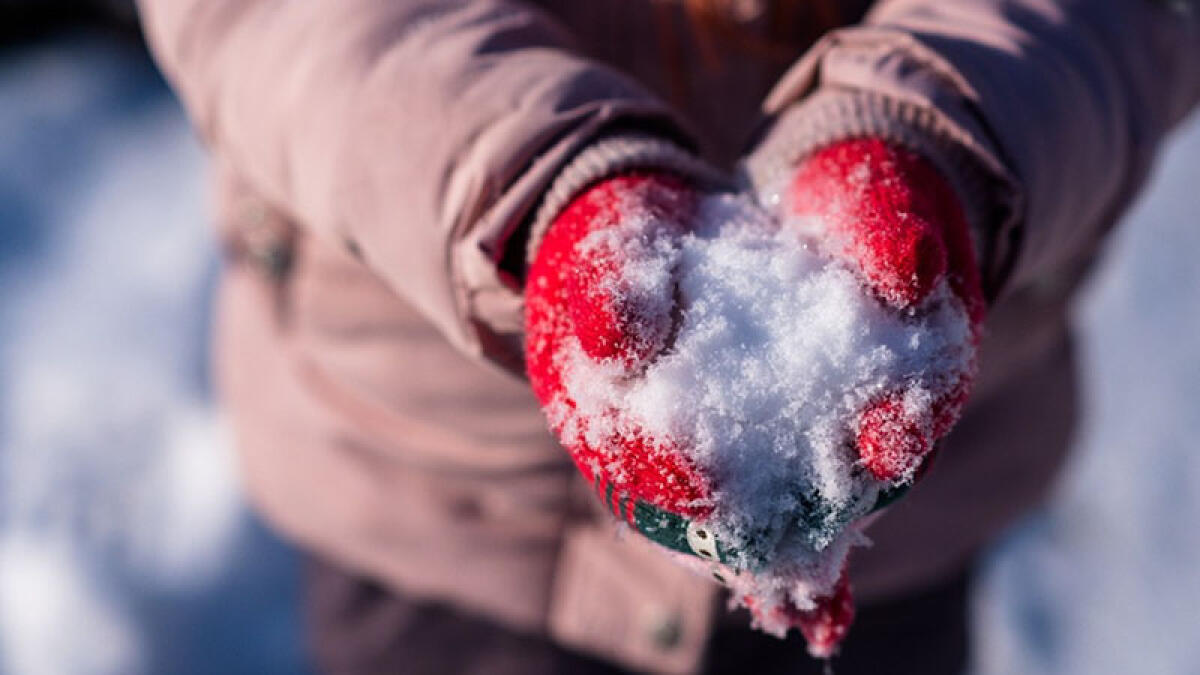 Primo freddo polare in arrivo sull'Italia, rischio neve - 