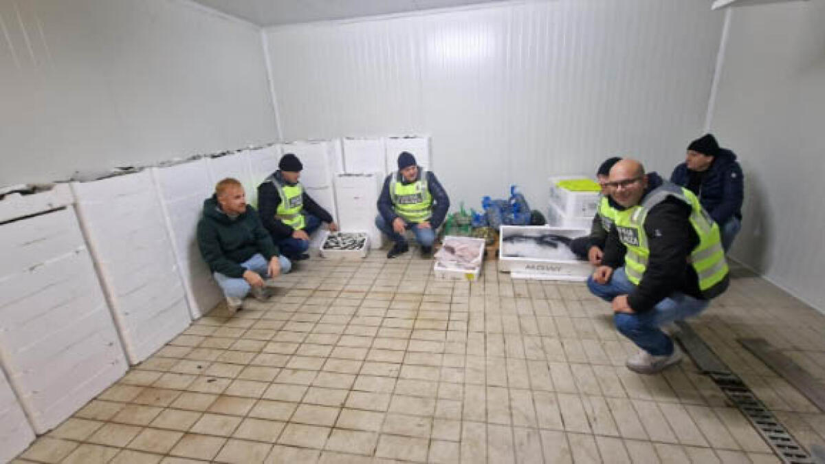 Sequestrata una tonnellata e mezza di pescato di frodo - 