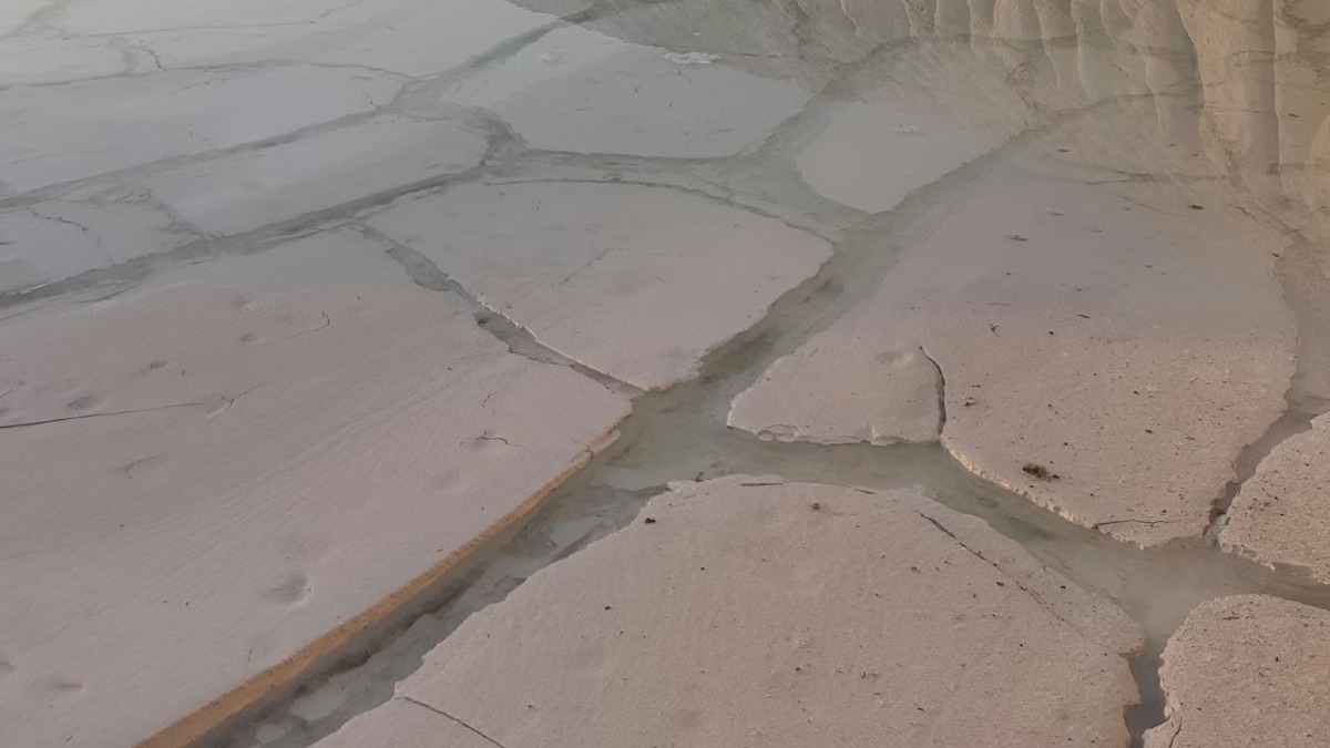 Colto sul fatto mentre sversa liquami in un campo agricolo - 