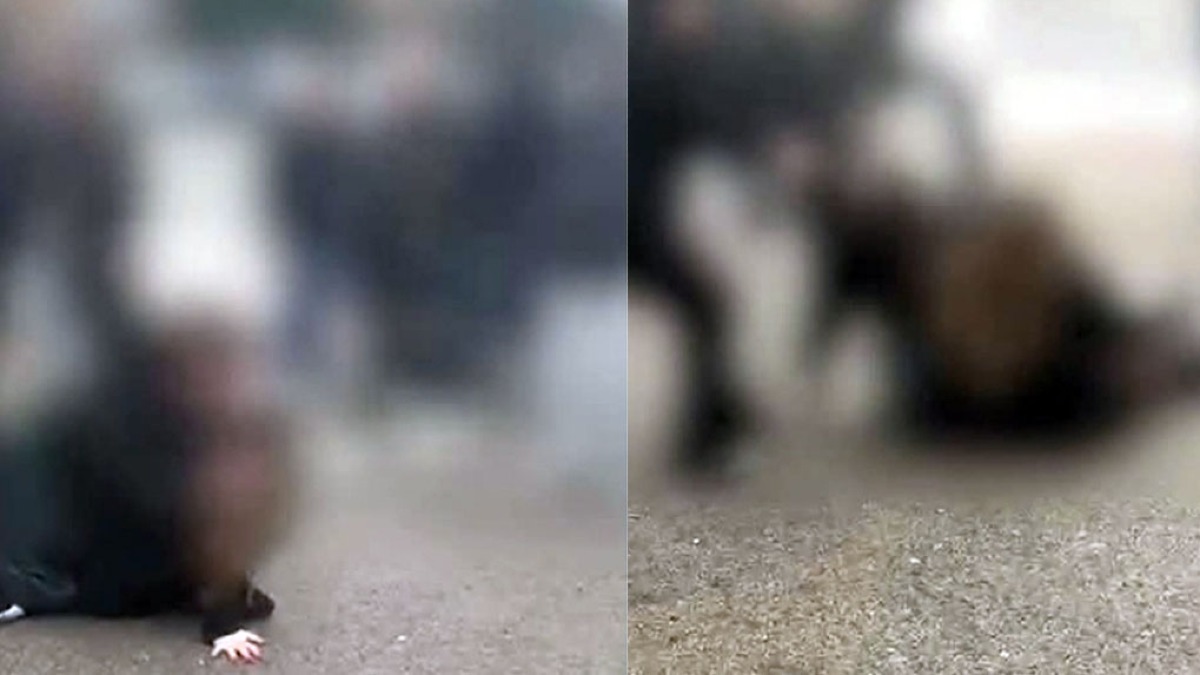 Capelli tirati e minacce tra ragazzine, il video diventa virale - 