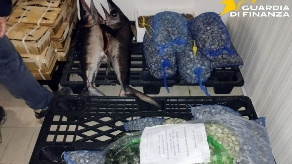 Sequestrati tre quintali di pesce al mercato ittico - 