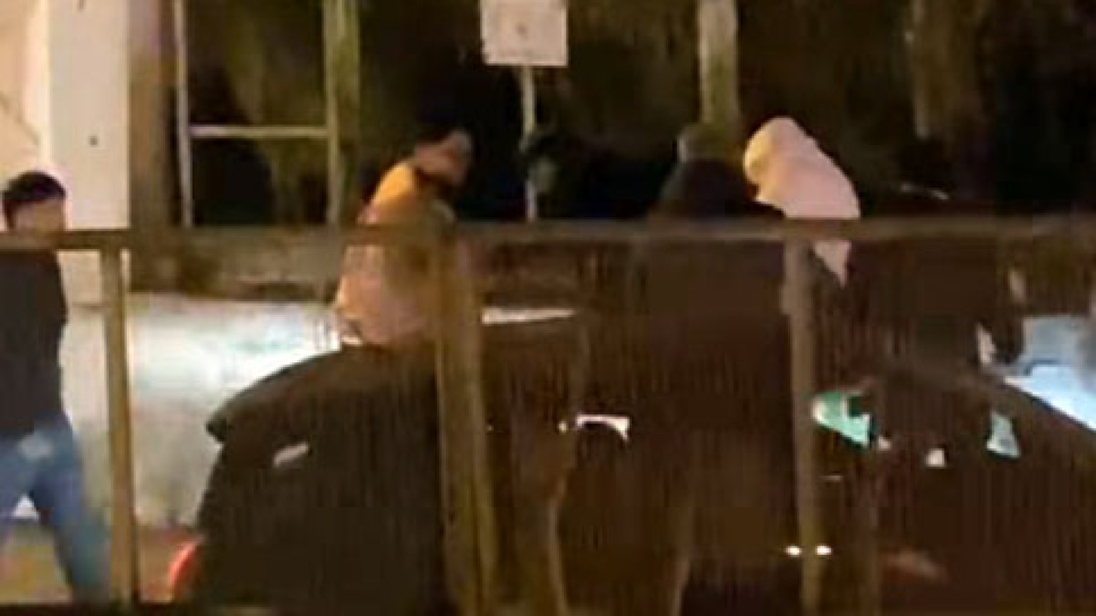 Rissa cinque contro uno a Torre tra il brindisi di fine anno - 