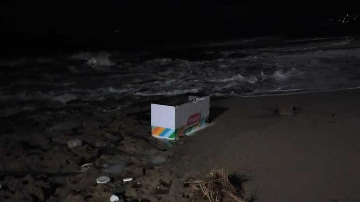 Congelatore sulla spiaggia, arriva dal mare  - 