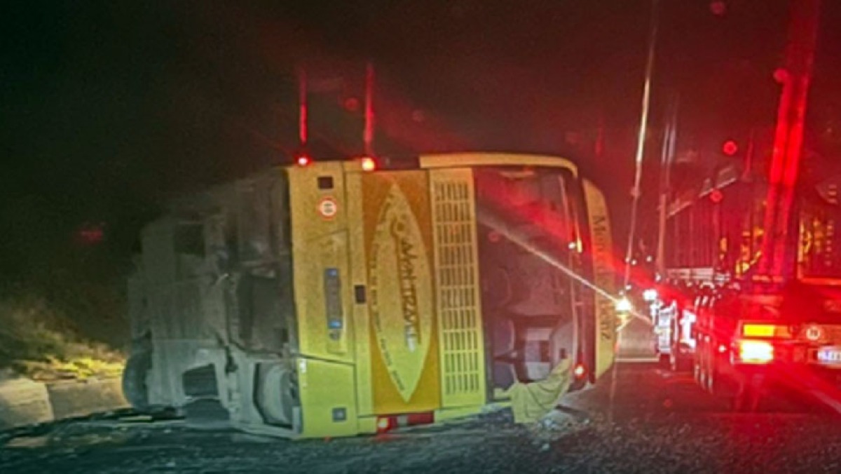 Perde il controllo e l'autobus si ribalta - 