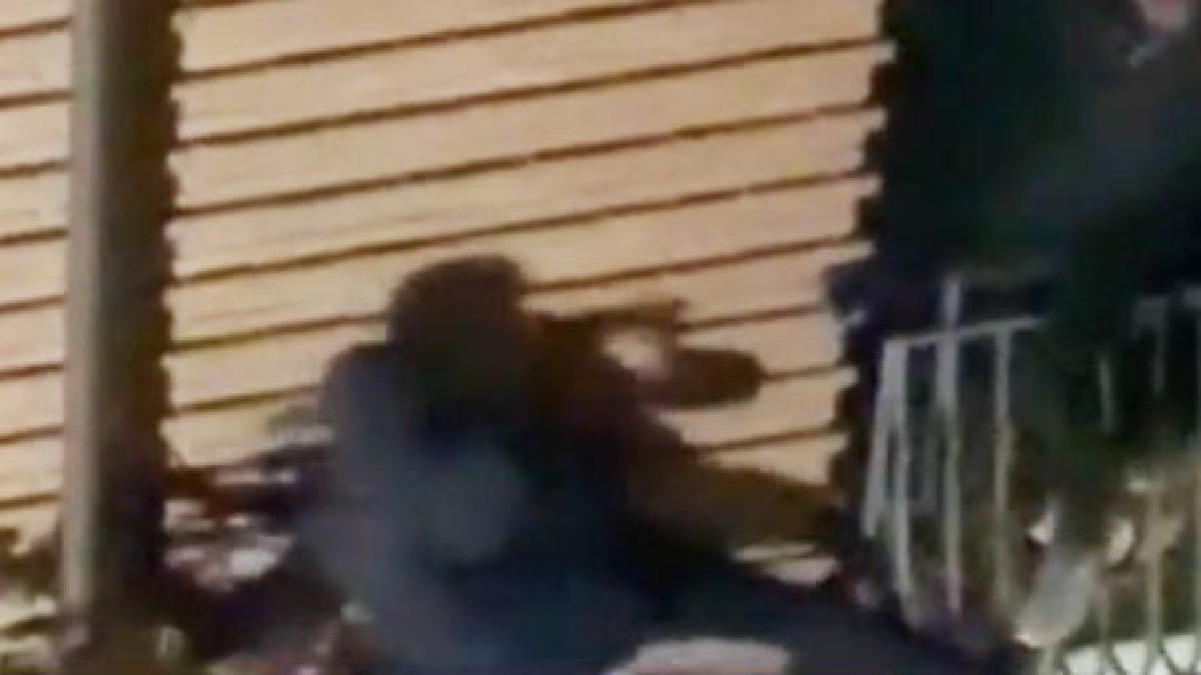 Ladri acrobati messi in fuga dai vicini - 