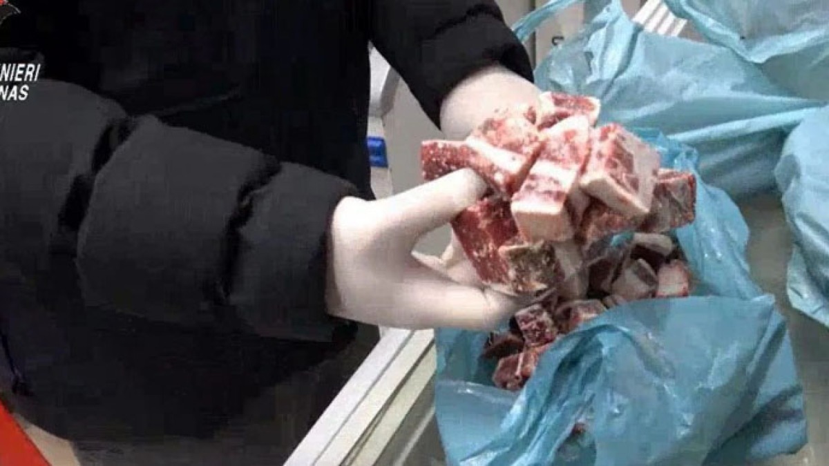 Carne macellata in locali sporchissimi, scatta la retata - 