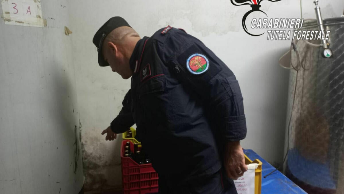 Rifiuti nocivi nell'azienda di produzione vini - 