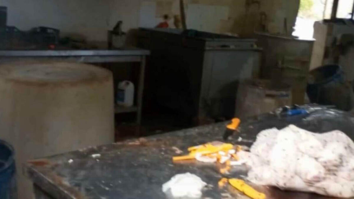 Cento tonnellate di cibo nocivo mettono piede in Campania - 