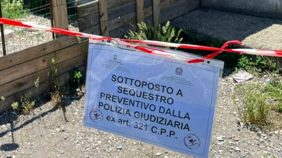 Sequestrati animali esotici in una casa a Nola - 