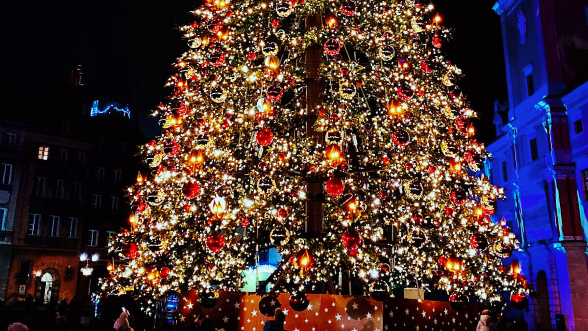 Si avvicina all'albero in piazza e lo prende a forbiciate - 