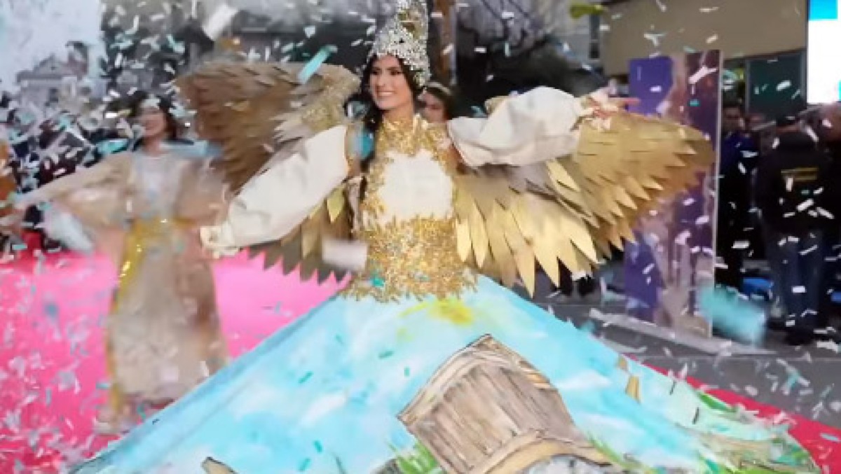 Il trionfo del Carnevale "cucito a mano" di Palma Campania arriva a domicilio - 