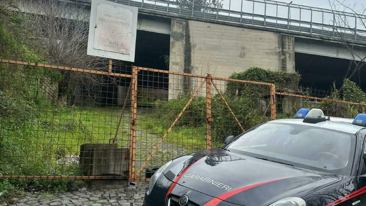 Ventuno colpi di pistola esplosi contro un cartello stradale - 