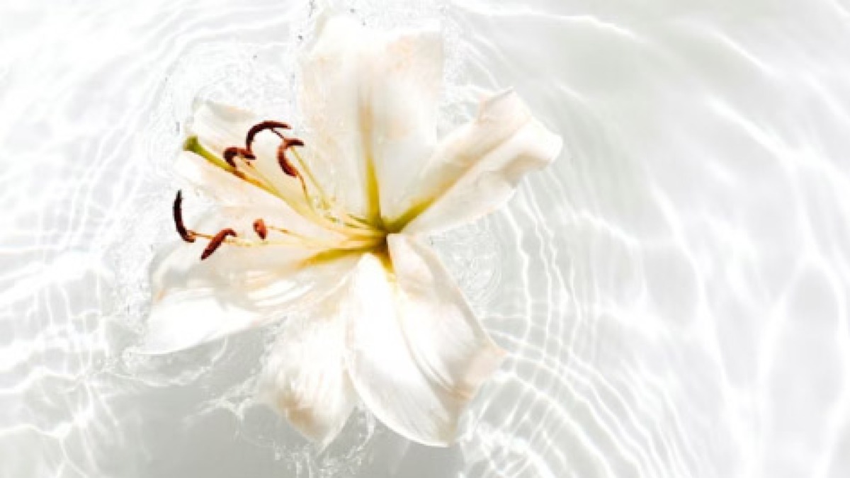 Tanta gente comune sta portando fiori bianchi davanti al Monaldi - 