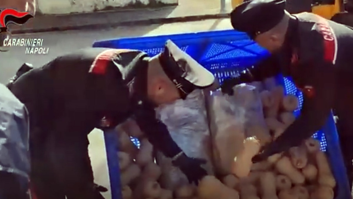 Quintali di droga dalla Spagna nascosti tra frutta e ortaggi - 
