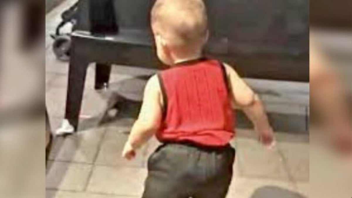 "Il cuore era intatto", ecco cosa c'era nel verbale su Domenico - 