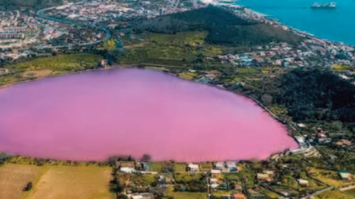Alga fa diventare rosa il Lago d'Averno - 