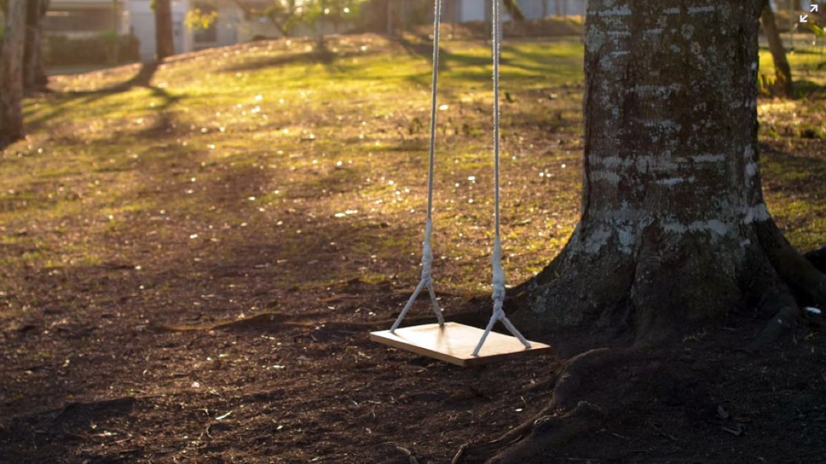 Urla e pugni tra genitori per l'altalena dei bambini