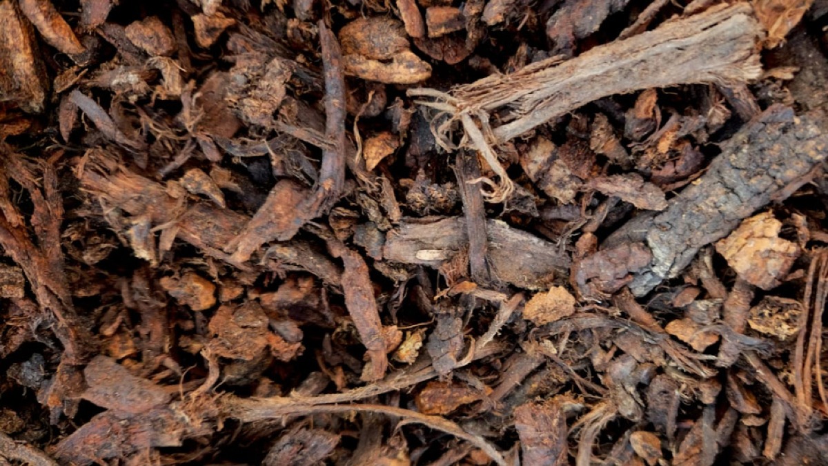 Imprenditore scarica letame nel sottosuolo pubblico - 