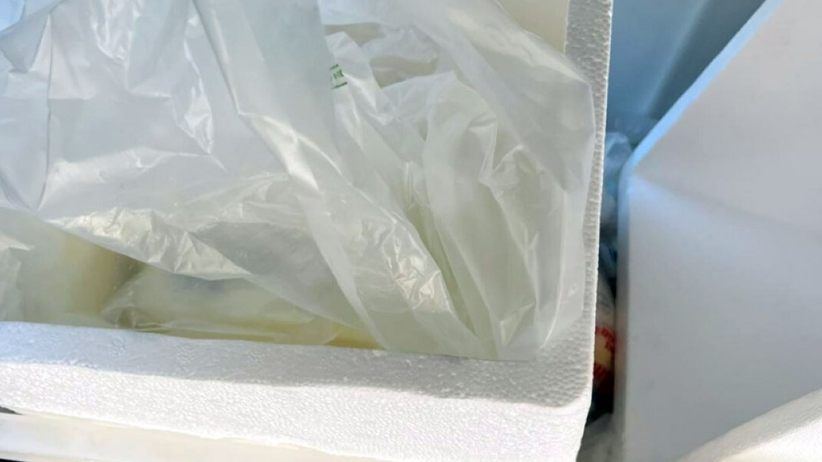 Vende mozzarella in strada trasportandola con una Panda - 