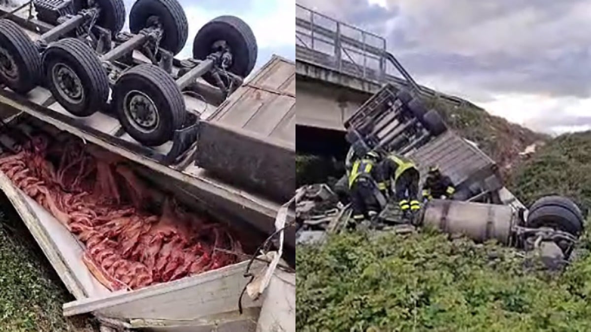 Tir carico di carne precipita sulla Statale 268 - 