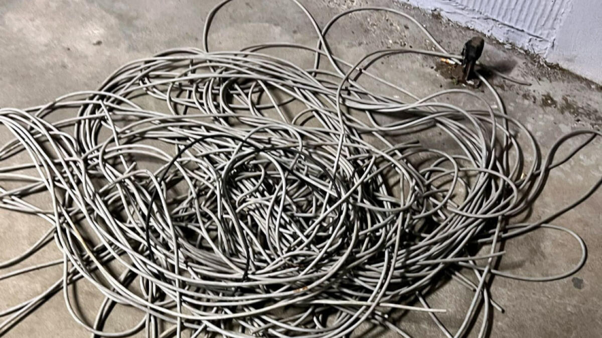 Si arrampica per rubare rame, cade e muore - 