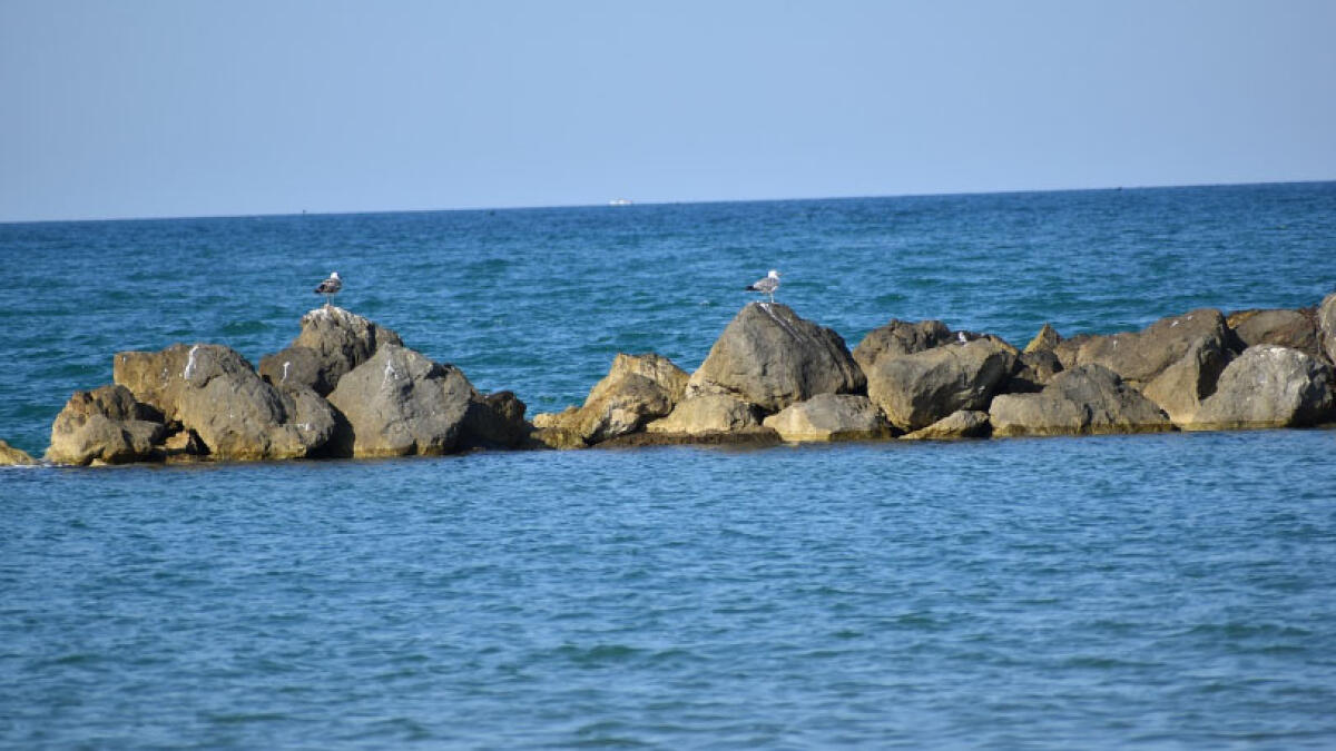 A Napoli due tratti di mare classificati come eccellenti - 