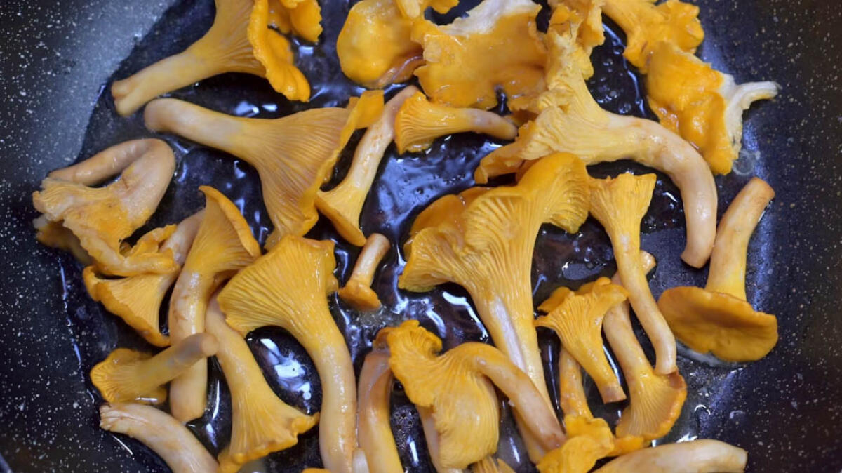 Famiglia avvelenata dai funghi, sei persone finiscono in ospedale - 