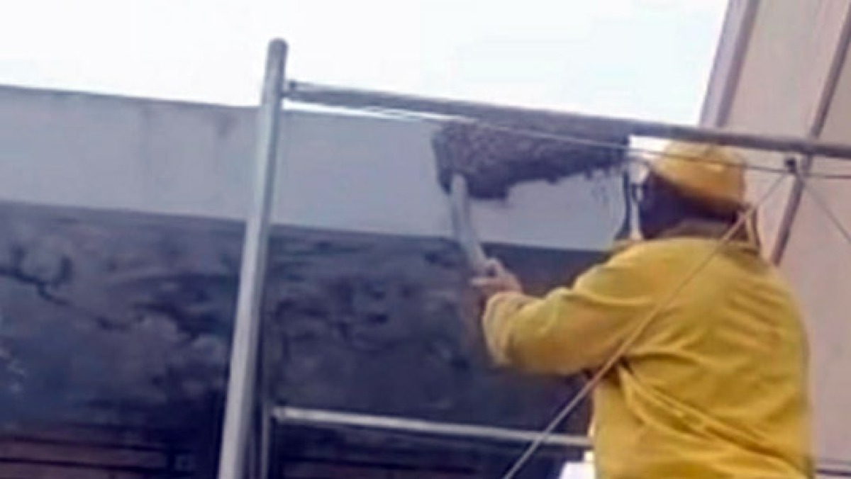 Sciame d'api cade dal cornicione e pungono un bimbo - 