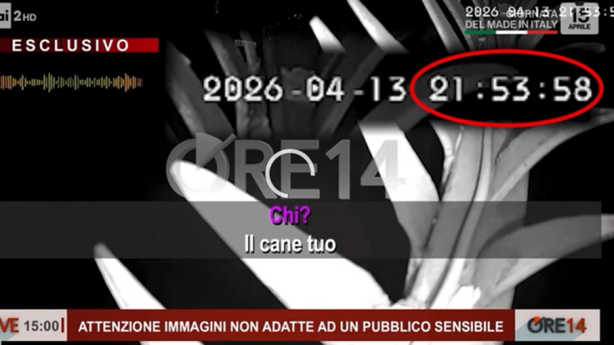 Ucciso mentre porta a spasso il cane, in un video le ultime parole - 