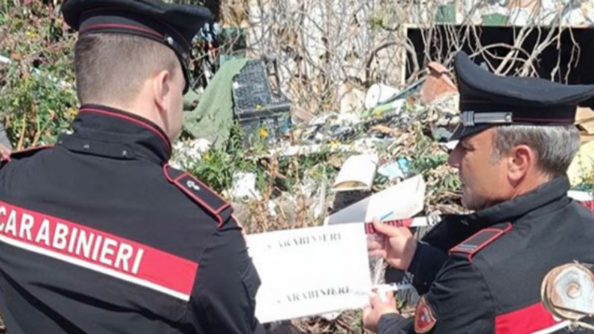 Casa con bimbi sporca e piena di rifiuti: dentro 13 cani, tre gatti e un grosso serpente - 