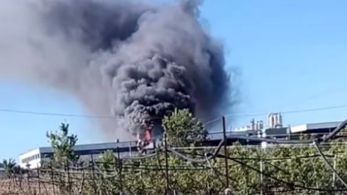 Brucia stabilimento di produzione di pomodori - 