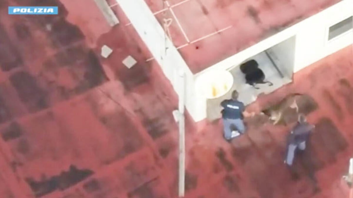 Narcotraffico nel Nolano, 23 arresti nel clan Russo - 