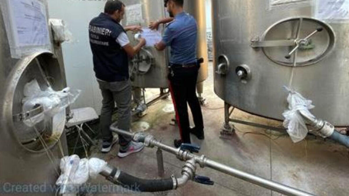 Chiusa azienda bufalina per inquinamento - 