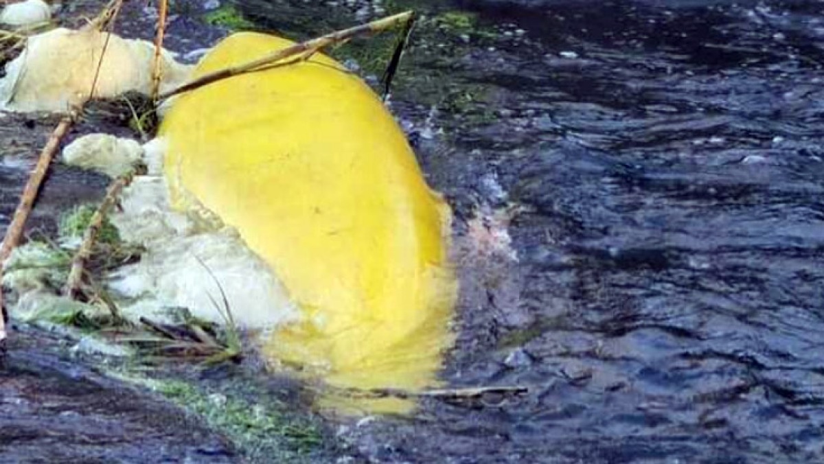 Corpo senza vita nel kayak rovesciato - 