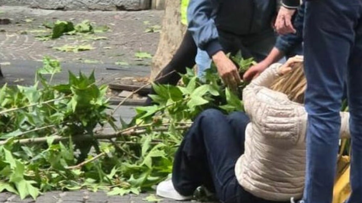 Cade un ramo, donna colpita in testa - 