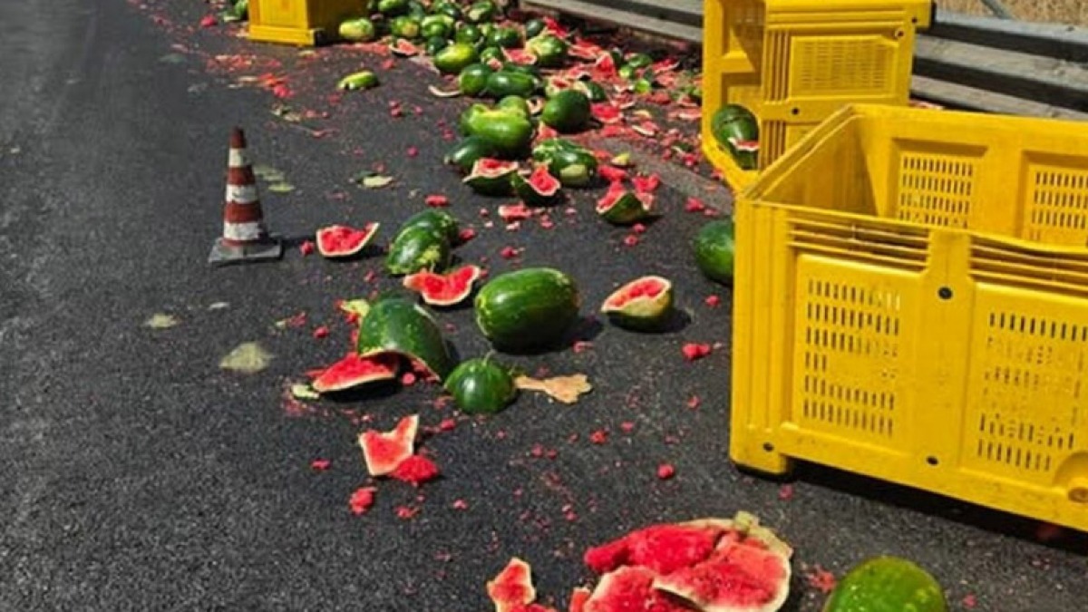 Camion perde le angurie sull'A2: come previsto da Tony Tammaro c'è chi le ruba - 