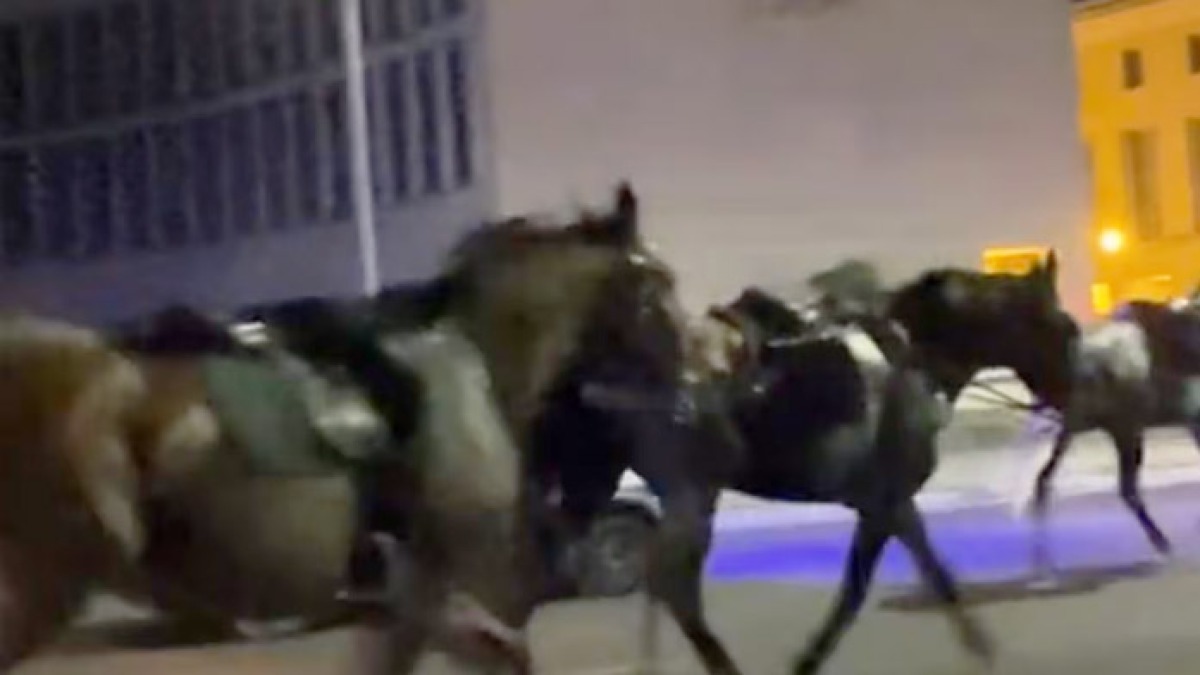 Cavalli imbizzarriti scappano in strada: 4 feriti - 