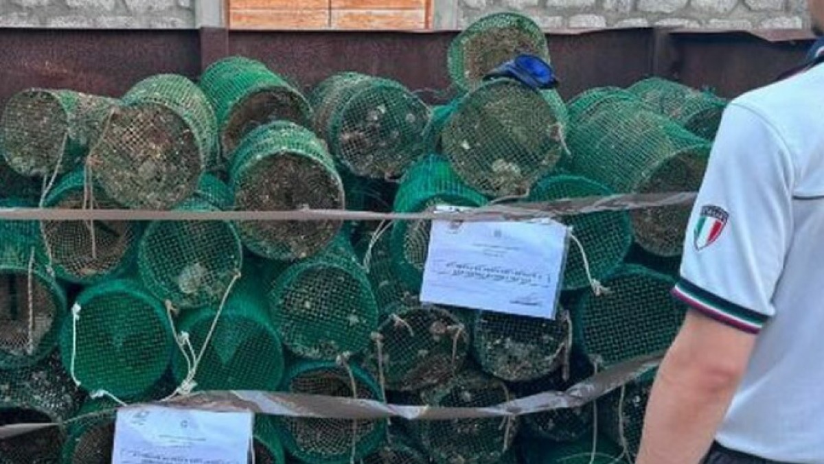 Pesca di frodo, sequestrate 120 nasse in area protetta - 
