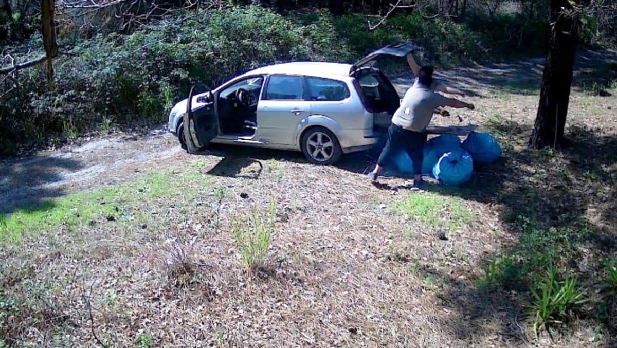 Sversa vernici nel Parco del Vesuvio, viene ripreso dalle telecamere - 