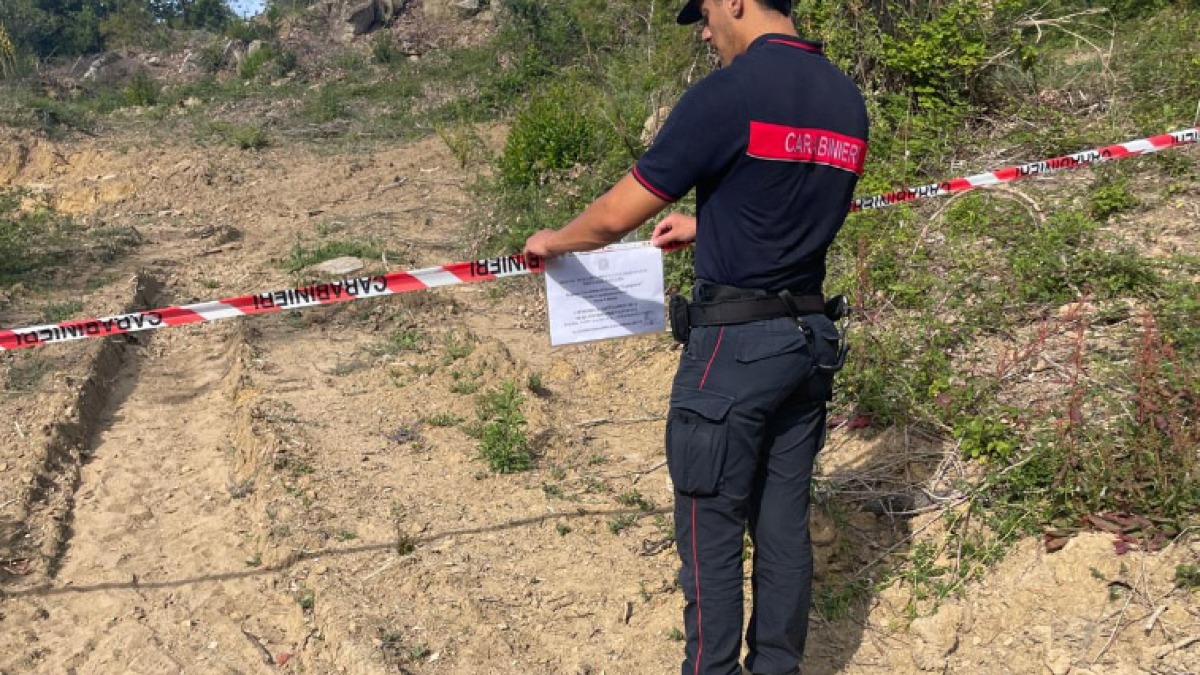 Esboscano area forestale in Campania: due denunce - 
