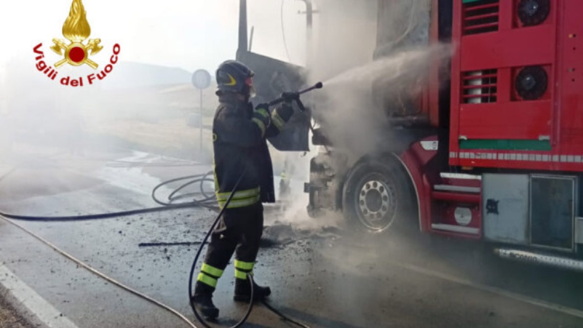 Va a fuoco autocarro che trasporta vitelli - 