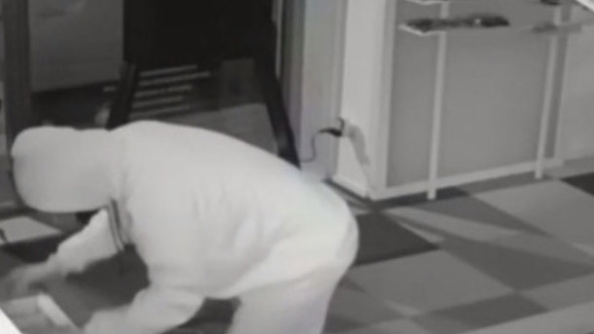 Svaligiato negozio di ottica, bottino da 40mila euro - 