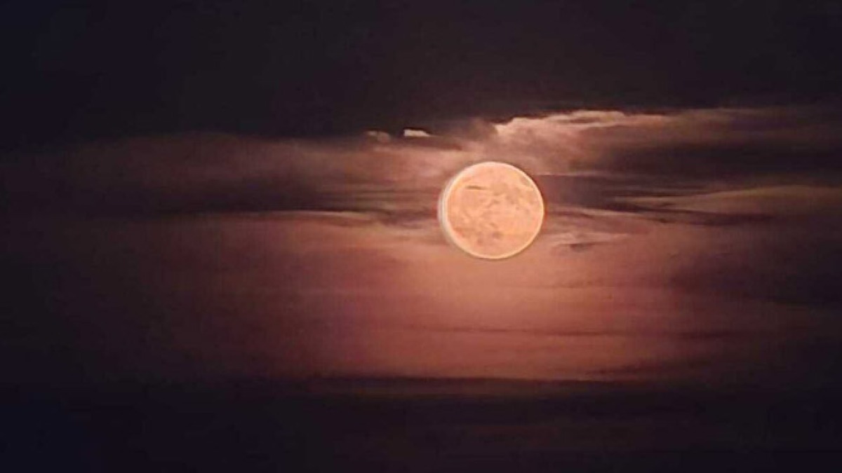 Torna la luna magica delle fragole, mancava da 18 anni - 