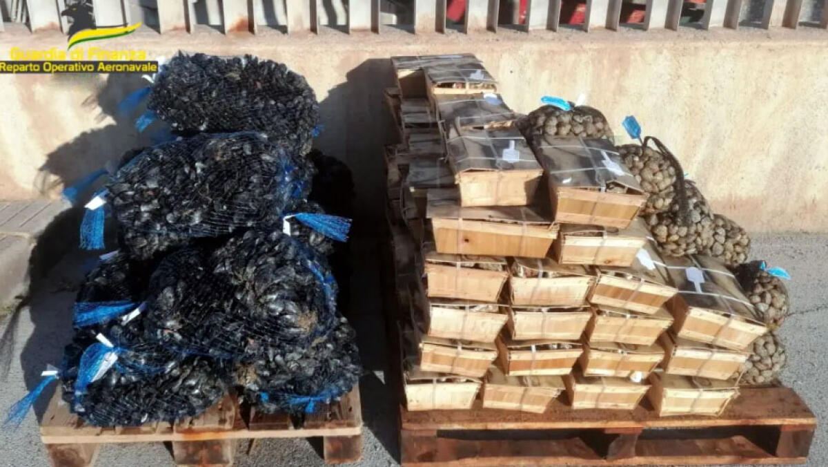 Frutti di mare pericolosi, sequestrati 70 chili di cozze e vongole