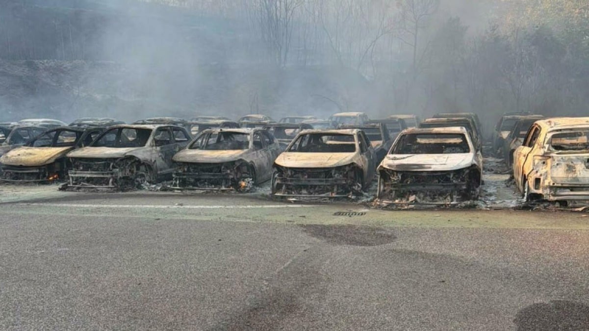 Incendio boschivo, concessionaria raggiunta dalle fiamme e distrutta - 