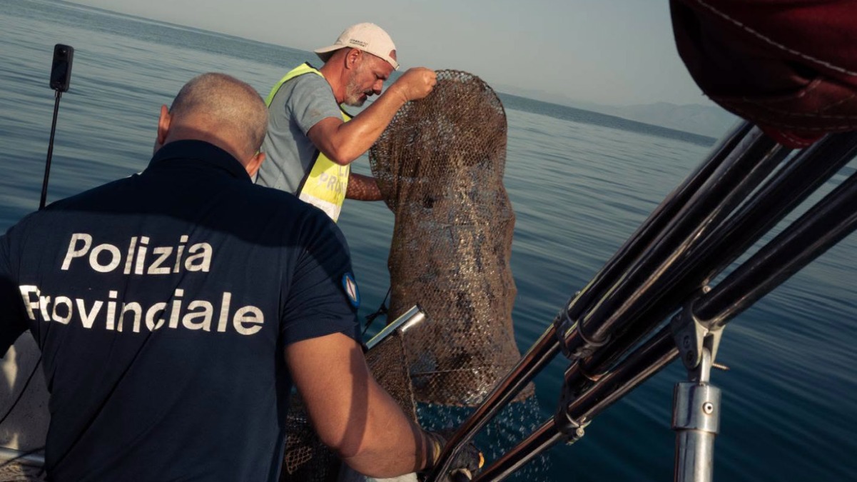 Maxi operazione contro la pesca di frodo: sequestrate le nasse, fauna liberata - 