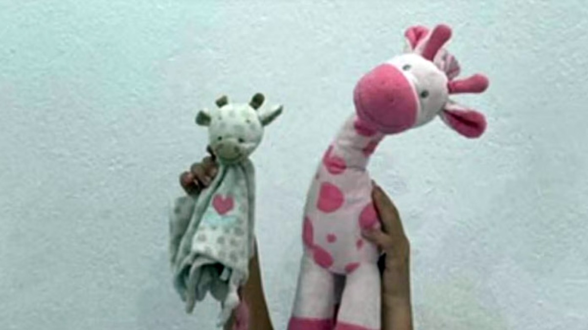 Auto ripulita, i turisti cercano i peluche dei figli - 