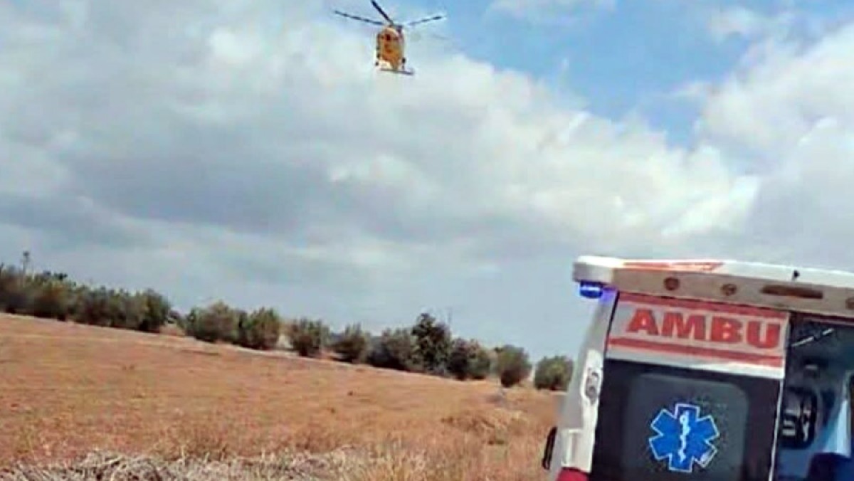 Bracciante muore dal caldo mentre raccoglie pomodori - 