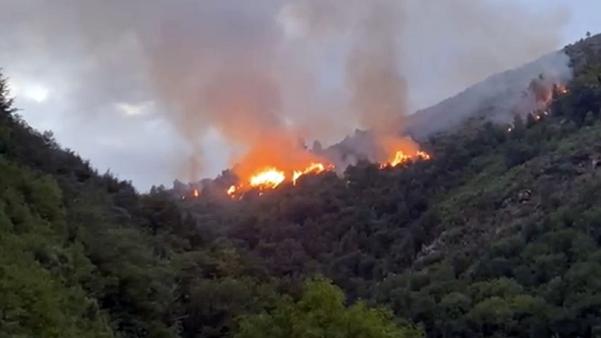 Brucia il verde, le fiamme si avvicinano alle case - 